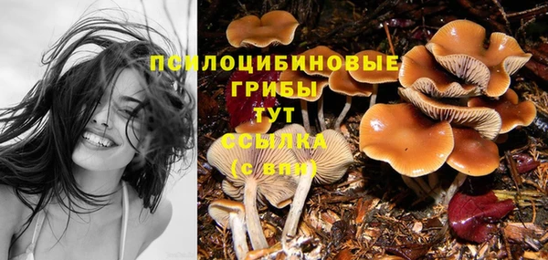 гашиш Дмитров