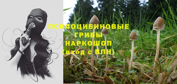таблы Дмитриев