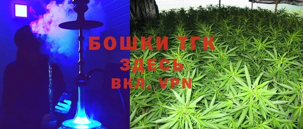 ГАЛЛЮЦИНОГЕННЫЕ ГРИБЫ Гусиноозёрск