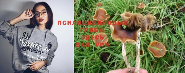 таблы Дмитриев