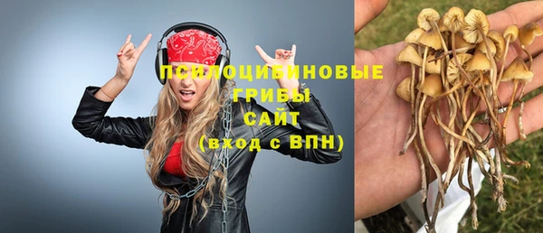 метадон Дмитровск